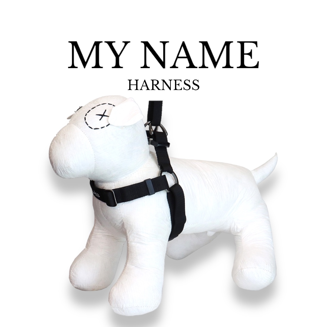 MY NAME ハーネス【クロスオーダー】