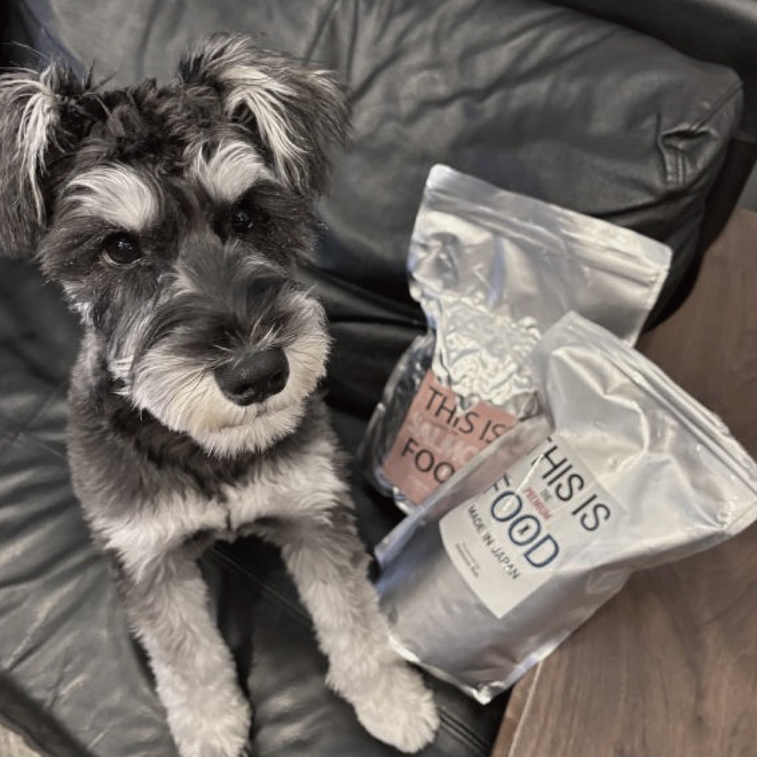 馬肉&サーモンフード】5袋ずつ(10袋)【10％(3300円分)pt還元】