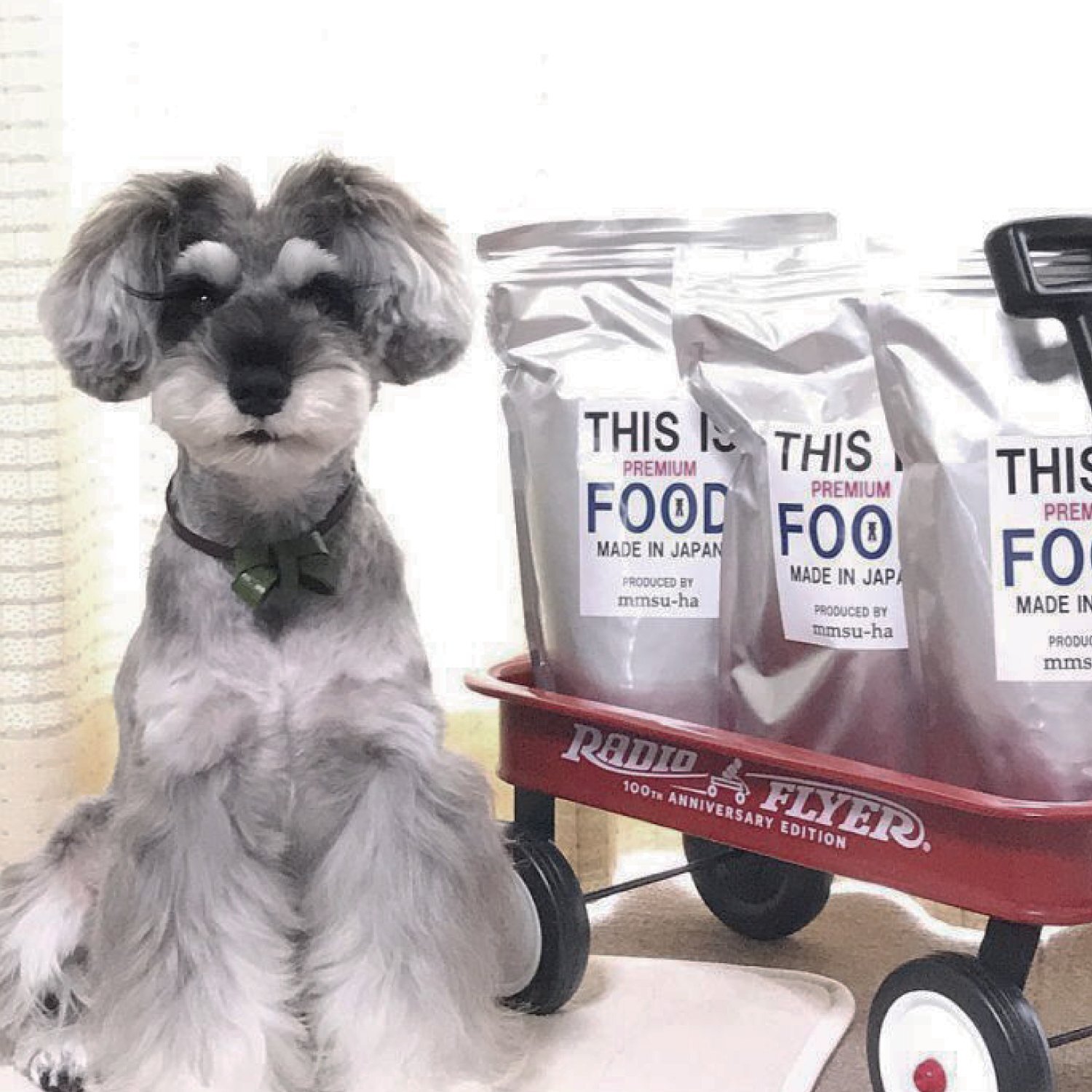 THIS IS FOOD 1kg プレミアムドッグフード 7袋 THIS IS FOOD 1kg