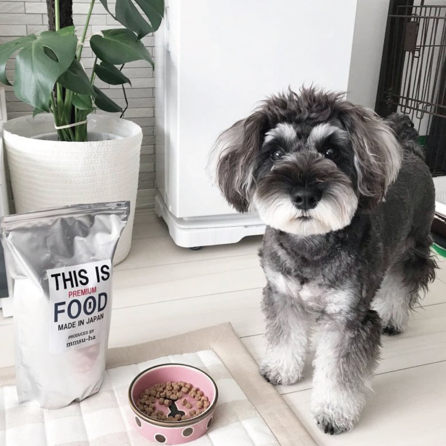 シュナウザー・テリア専用ドッグフード1kg袋×3袋まとめ買いセット