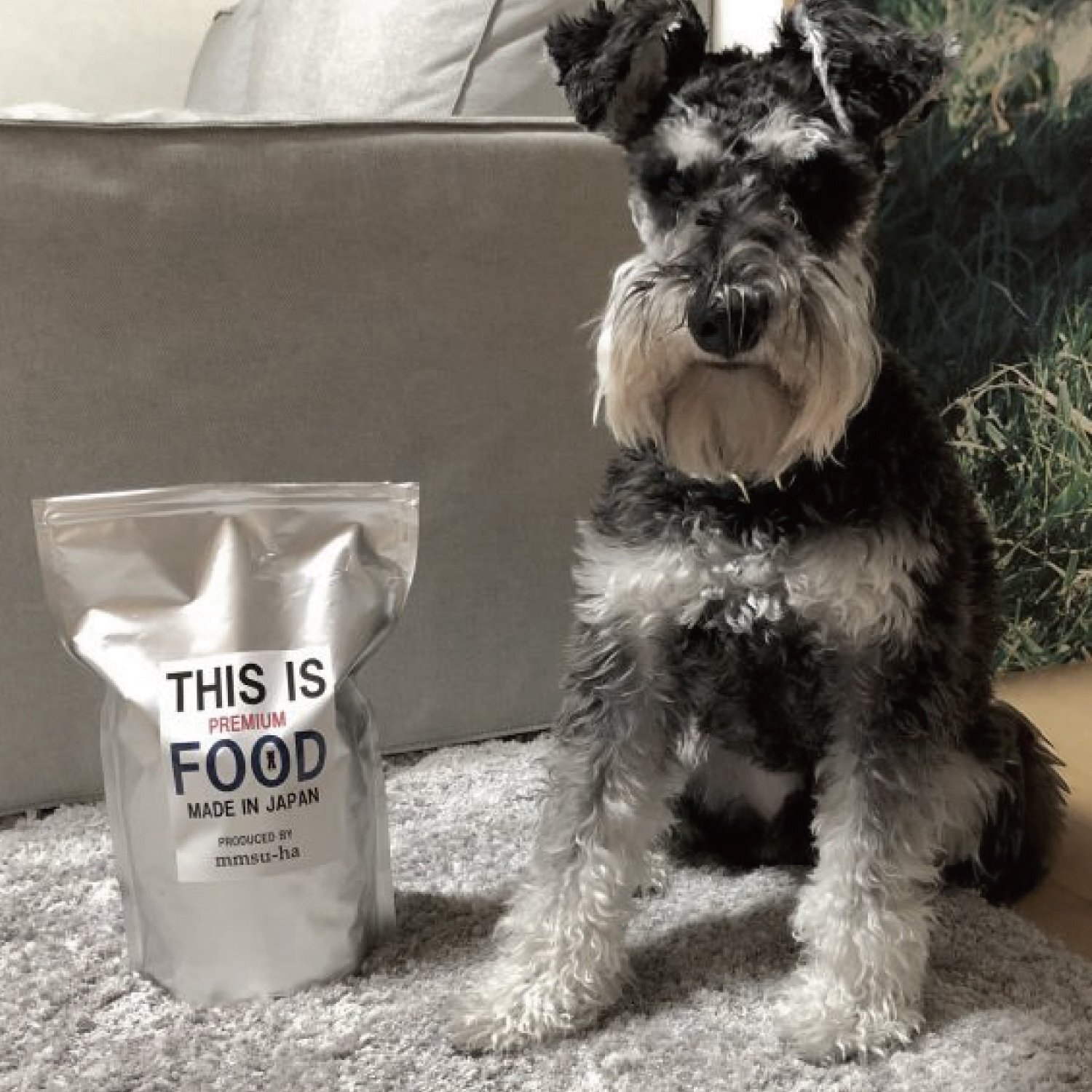 シュナウザー・テリア専用ドッグフード1kg袋×3袋まとめ買いセット