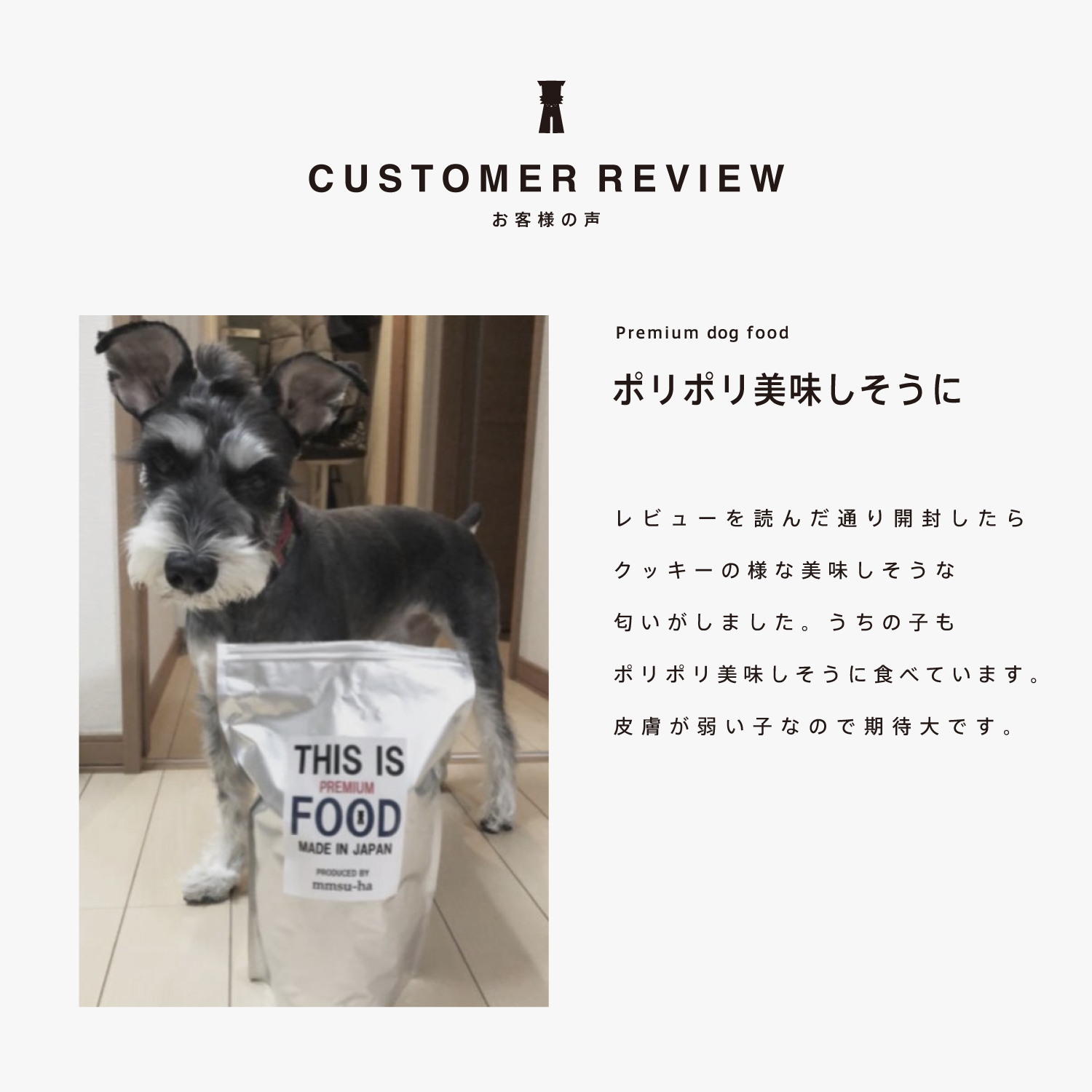 シュナウザー・テリア専用ドッグフード1kg袋×3袋まとめ買いセット