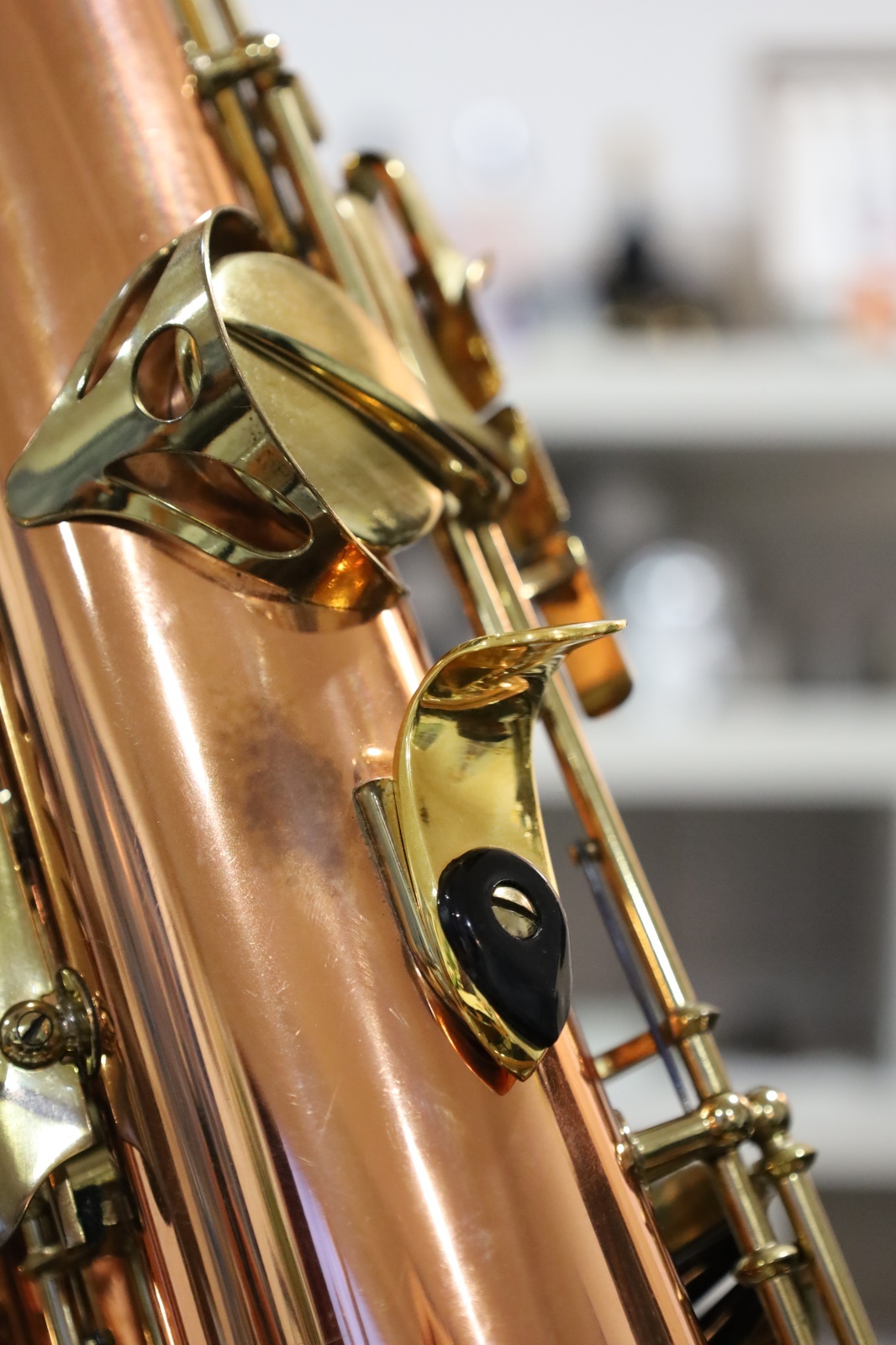 Buffet Crampon S1 Prestige - 管楽器を深く楽しむ人へ｜MOUTON STORE