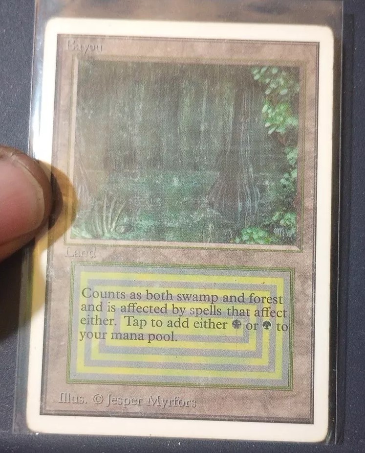 MTG Bayou 英語 アンリミテッド Unlimited 2ED