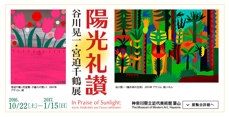 陽光礼讃 谷川晃一・宮迫千鶴展：神奈川県立近代美術館＜葉山館＞