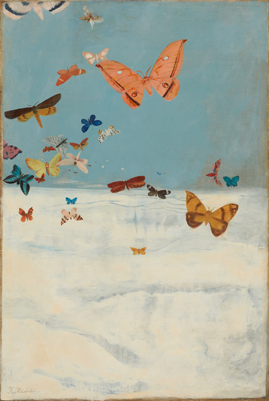 雲の上を飛ぶ蝶 - 東京国立近代美術館