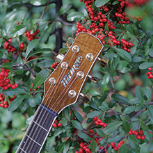 MG-702 | 生産完了品 | MORRIS GUITARS モーリスギター