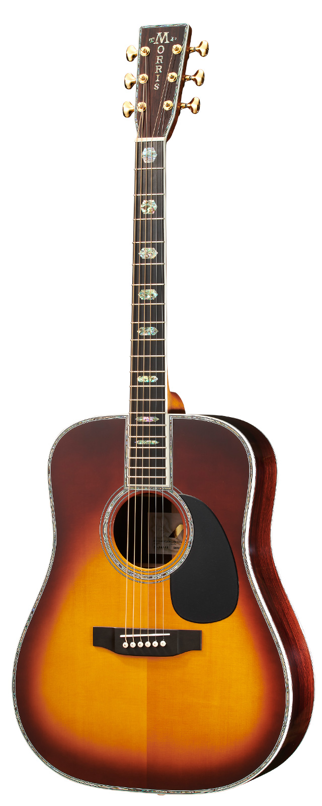 Morris W-25 ⁄ モーリス ⁄ アコースティックギター | D-plus-stock