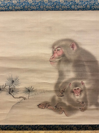 注文 掛け軸 掛軸 猿 さる 茶掛け 茶道具 掛け軸 掛軸 猿 さる 茶掛け
