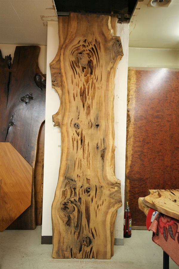 天然木 東京 新宿 東五軒町店展示 欅（けやき・ケヤキ）材 一枚板