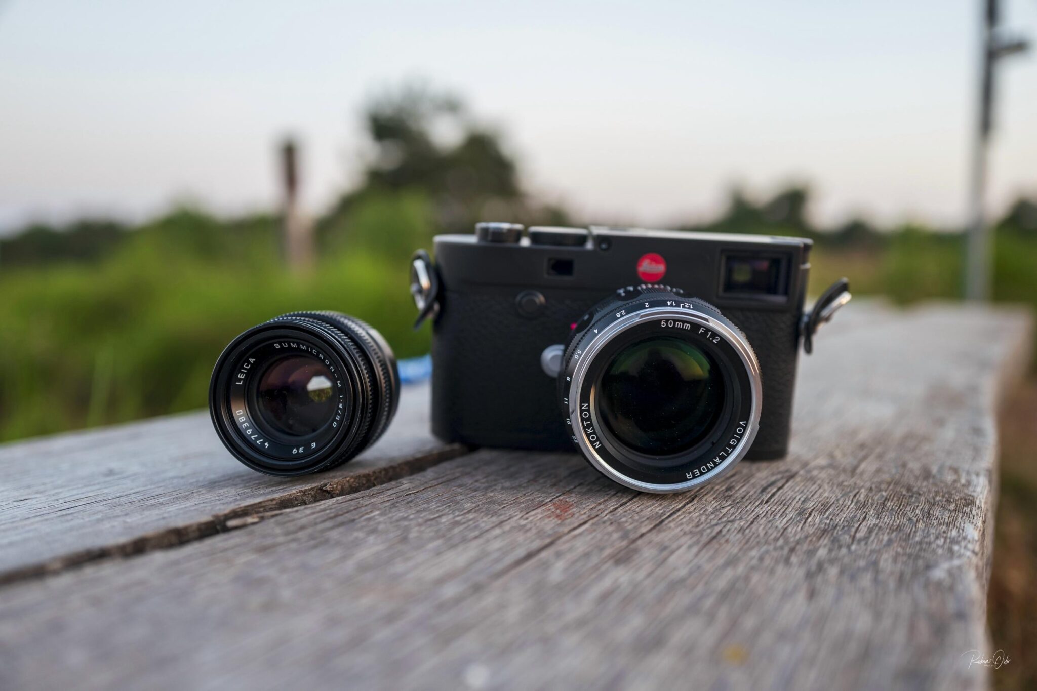 The Voigtländer 50mm f/1.2 Nokton reviewed