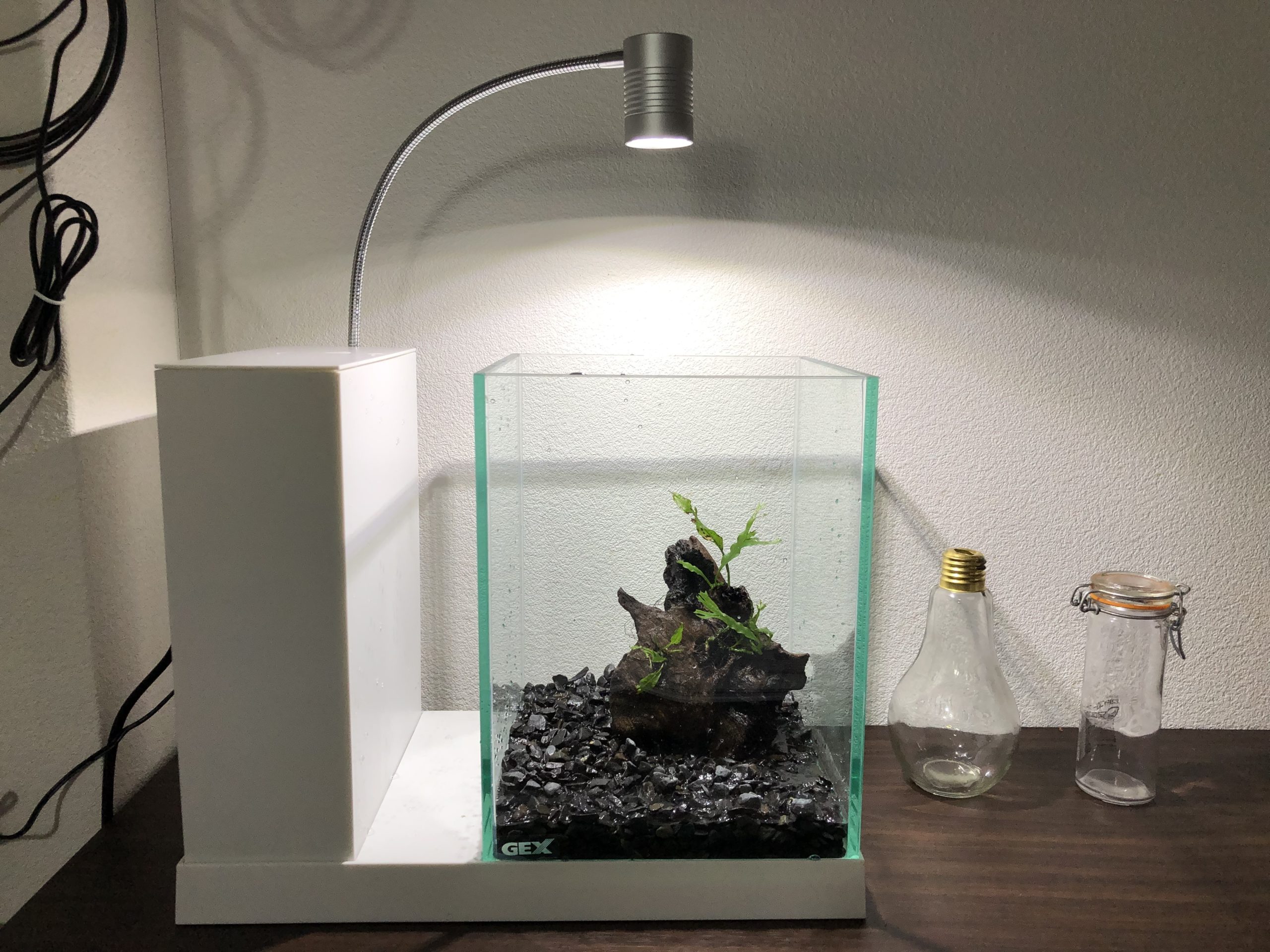 GEX AQUA-U WIDE ホワイト お洒落な傑作水槽の新モデル、AQUA-U WIDEを