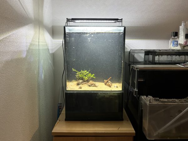 GEXのスリムな一体型オシャレ水槽Glassterior AGS SLIDE OF-230をレビュー