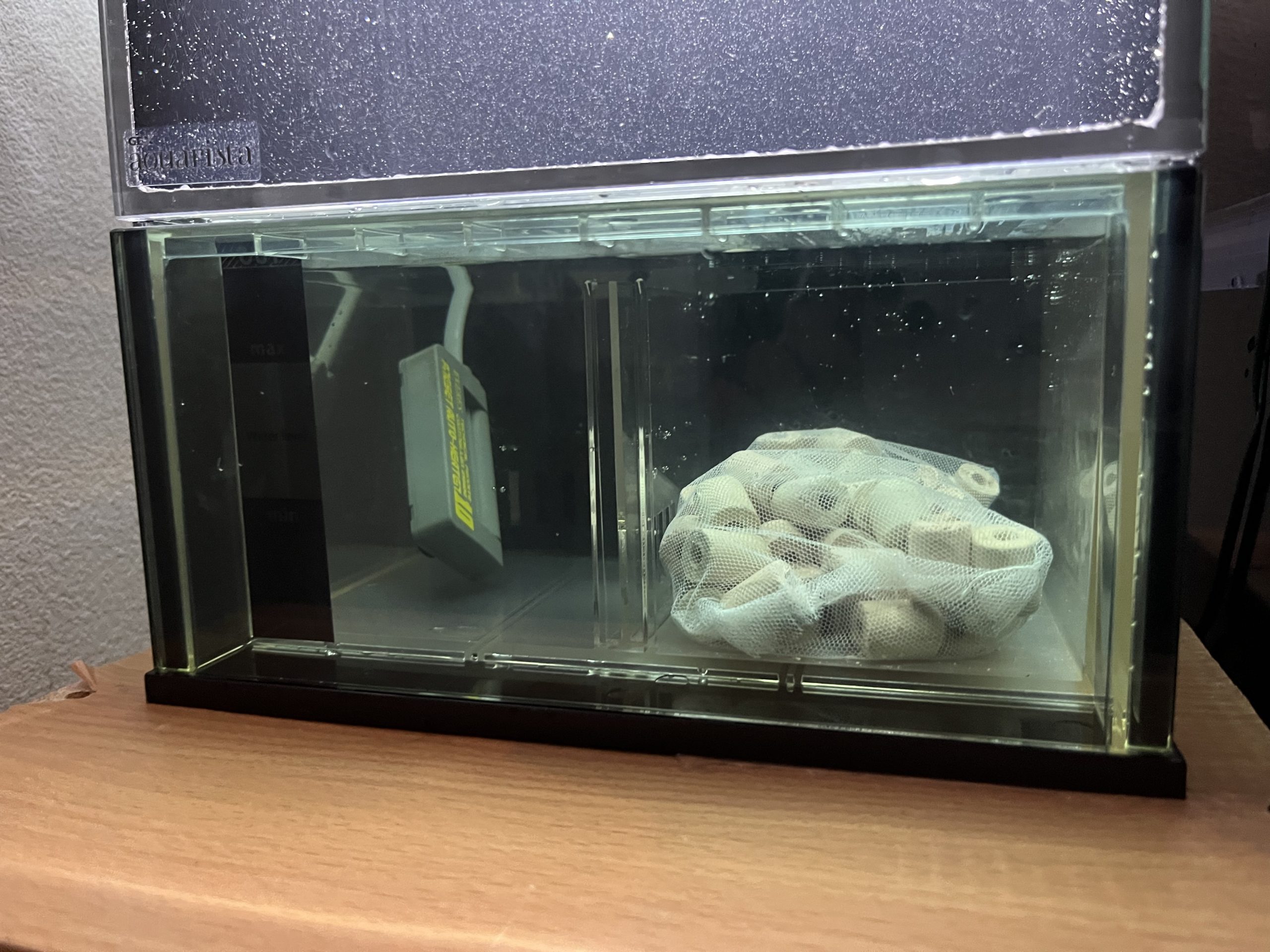 GEXのスリムな一体型オシャレ水槽Glassterior AGS SLIDE OF-230をレビュー