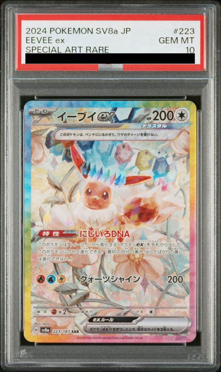 ブイズ SAR 10枚セット テラスタルフェスex ポケモンカード fromJAPAN