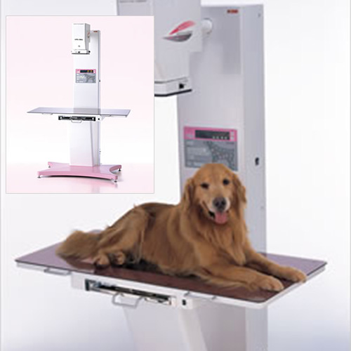 小動物の画像診断 【公式通販】