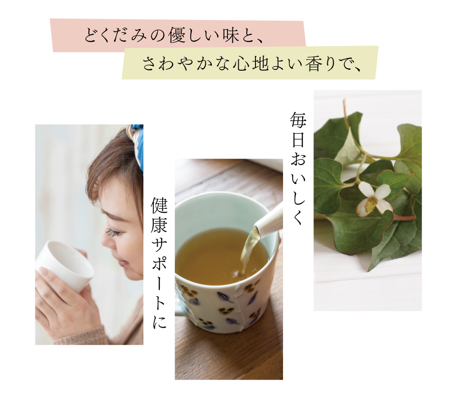 みー画面】#515 乾燥どくだみ どくだみ茶 開花期 2025年産 みー画面