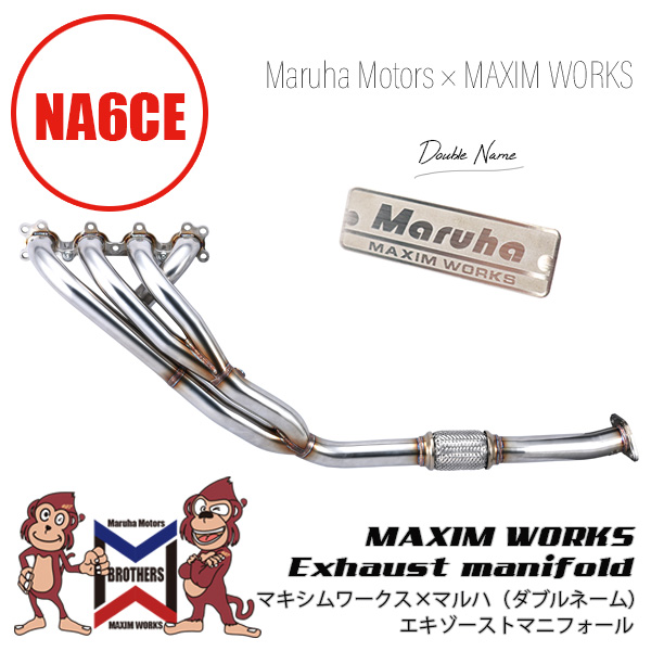 レア】バショウカジキ幼魚 エタノール標本 レア】バショウカジキ幼魚