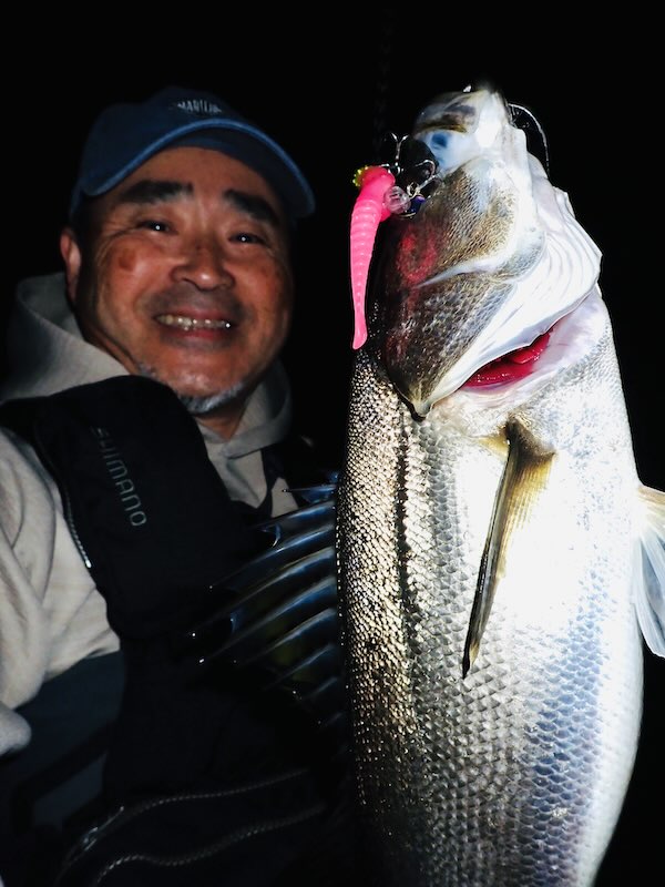 NO-TEN6久しぶりに新色です！ – 株式会社 マルジン