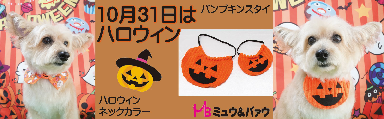 トリミングチョーカー 979 まぁちゃん様専用 【公式通販】