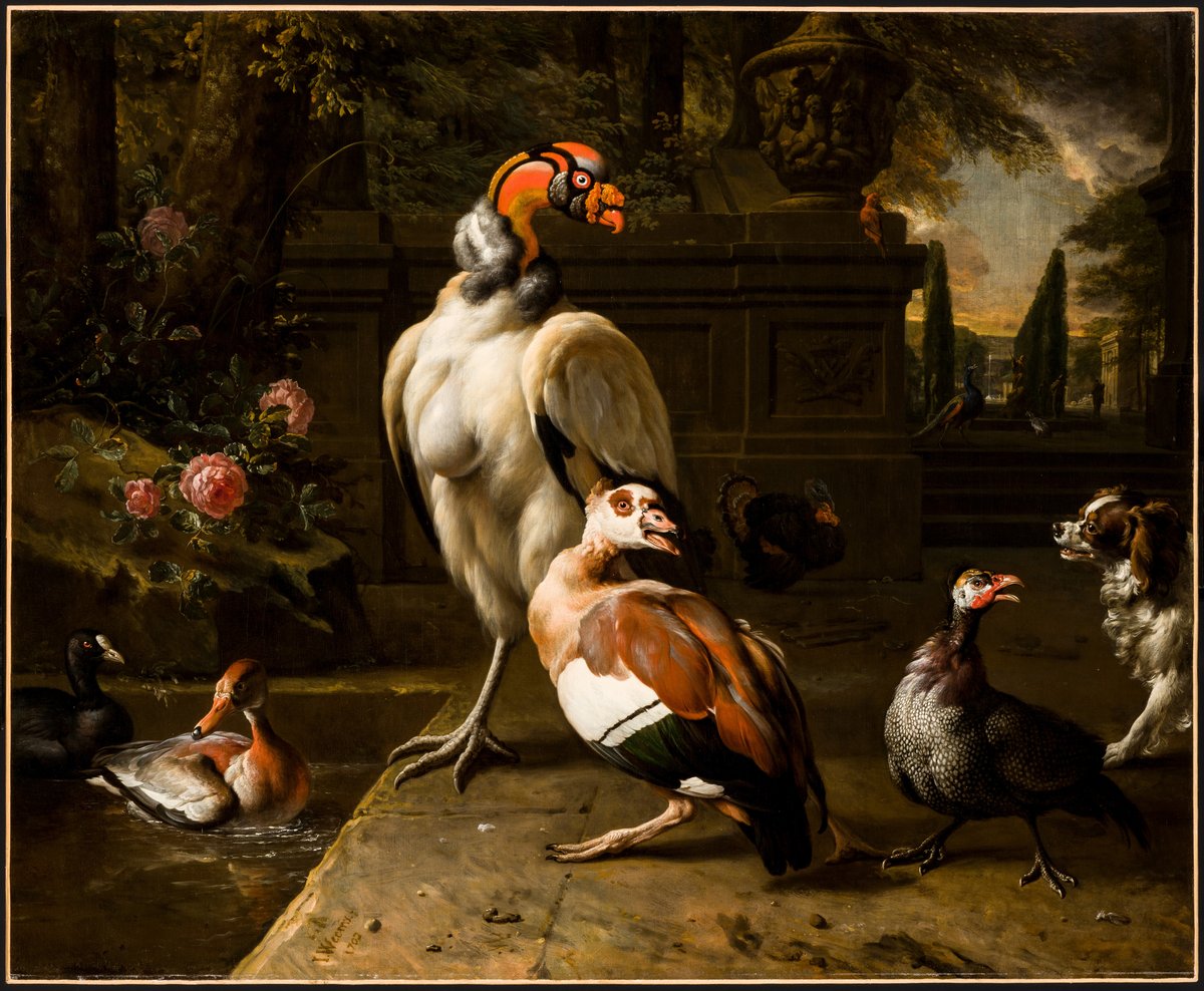 BIRDS WORLDS アート作品 Exotic Birds in a Park – Museum of Fine