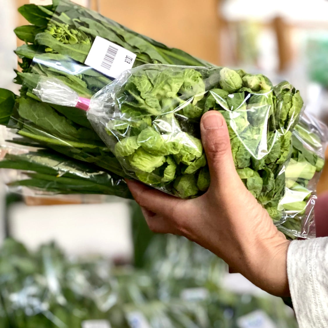 野菜袋詰めは道具で変わる。アイパッカー2 | 素材を知る| PLAS MIRAI+