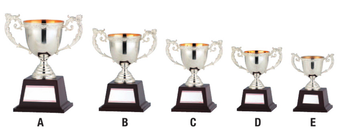 霹靂一線様 專用 銀製 優勝カップ 杯 313g 銀製SILVER 刻印有り 霹靂一線様