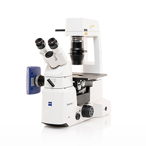 Carl Zeiss Microscopy, LLC - Inverted microscopes - Axiovert 5/7