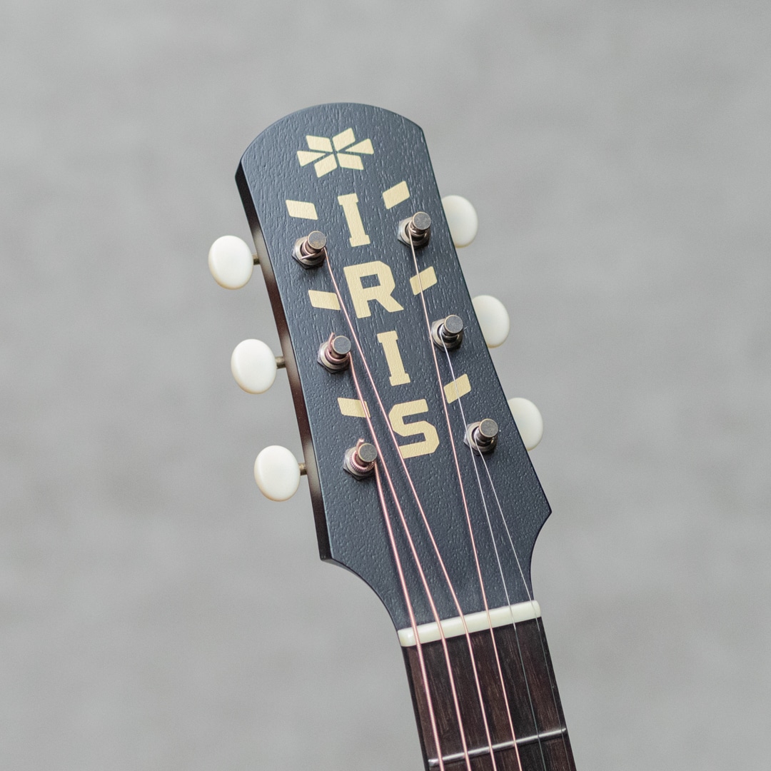 ギター 250 GREY TA.effects MATT BLACK ギター 250 GREY TA.effects