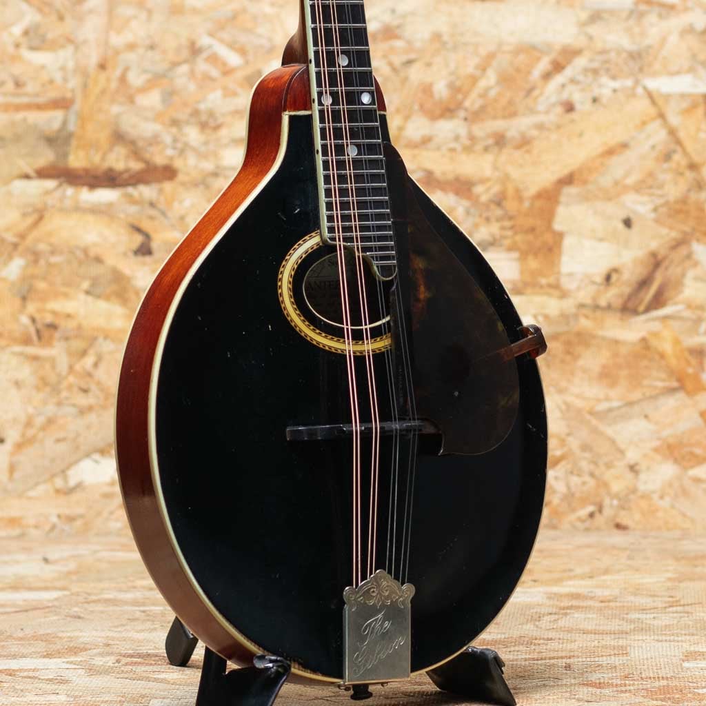 Flat Mandolin（フラットマンドリン）一覧 | | 三木楽器公式通販サイト