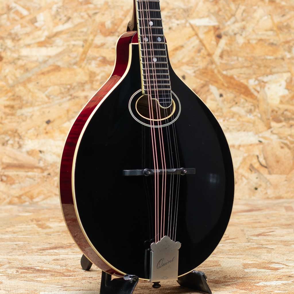 嶋田/エンジェルマンドリン モデル:BN 嶋田/エンジェルマンドリン