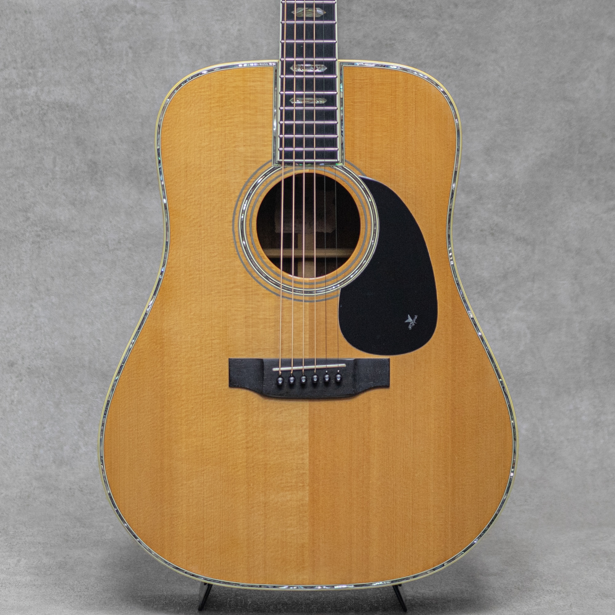 希少モデル】ARIA G300 アコースティックギター 日本製 ハードケース付