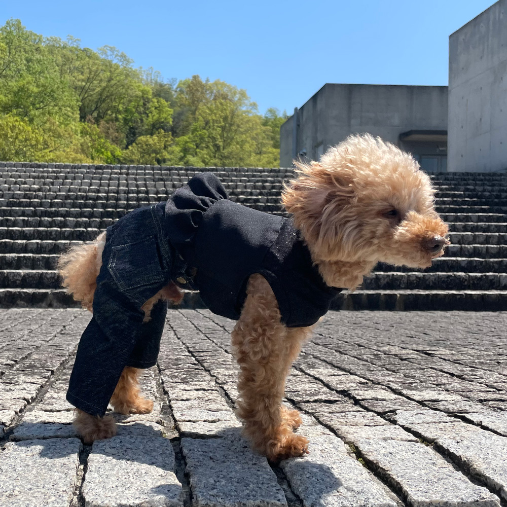 ビスチェ風タンクトップ｜犬服無料型紙・作り方通販 milla milla