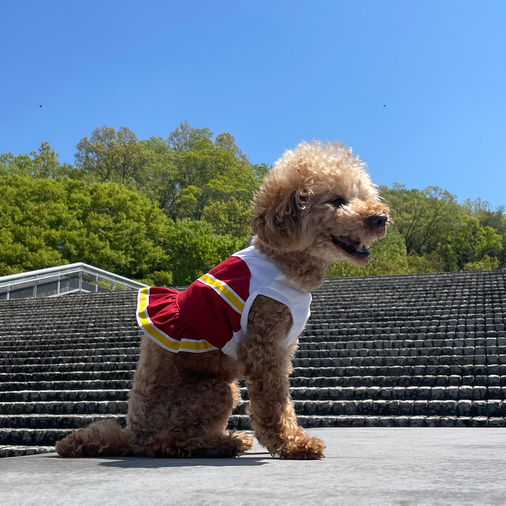 ビスチェ風タンクトップ｜犬服無料型紙・作り方通販 milla milla