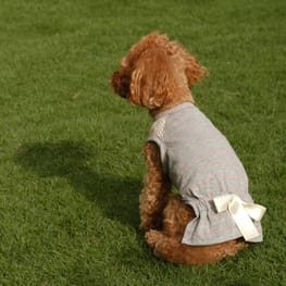 No.23 ハンドメイド犬服 ラグラン半袖Tシャツワンピース No.23