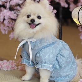 ワンピース/millacra｜犬服無料型紙・作り方通販 milla milla