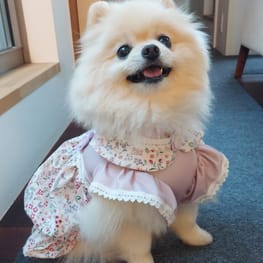 ワンピース/millacra｜犬服無料型紙・作り方通販 milla milla