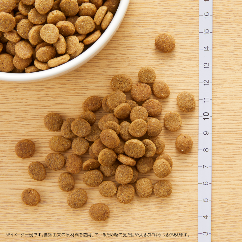 ニュートロ ナチュラルチョイス プロテインシリーズ ラム&玄米 子犬用