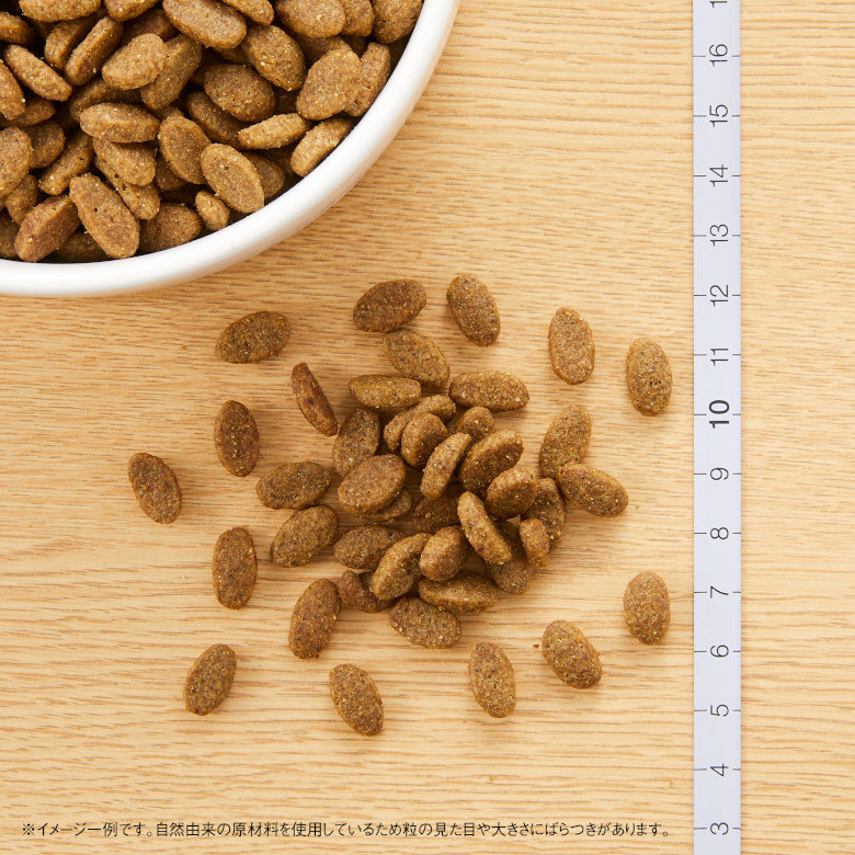 ニュートロ ナチュラルチョイス ミートシリーズ 室内猫用 アダルト