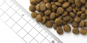 FISH4DOGS ホワイトフィッシュパピー 15kg ドッグフードパピー