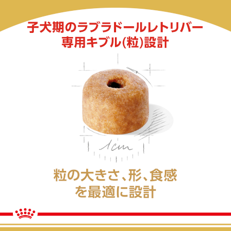 ロイヤルカナン BHN ラブラドールレトリバー パピー（子犬用） 【送料