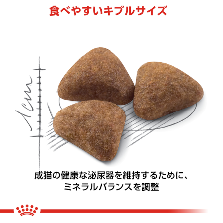 ロイヤルカナン FHN インドア（成猫用） 【送料無料】｜みんなのペット