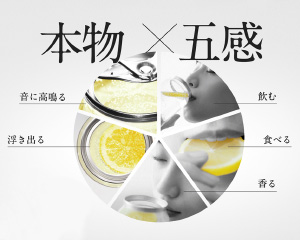 チューハイ｜アサヒ 未来のレモンサワー プレーンレモンサワー 345ml