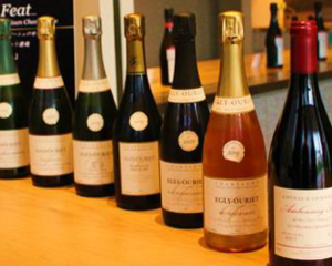 エグリ ウーリエの商品一覧 通信販売FELICITY RMシャンパン