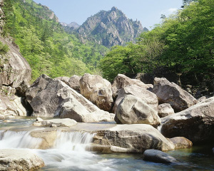 鏡月 焼酎の商品一覧 通信販売FELICITY