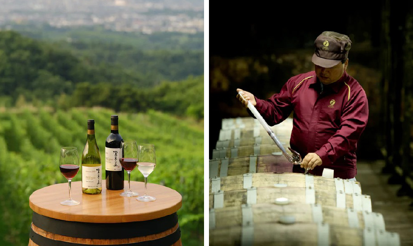 Suntory FROM FARM 丸型ボトル 3本+フロムファームお猪口6入