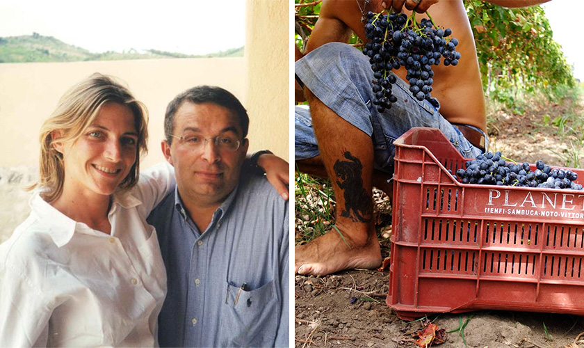 プラネタ サンタ チェチリアの通信販売