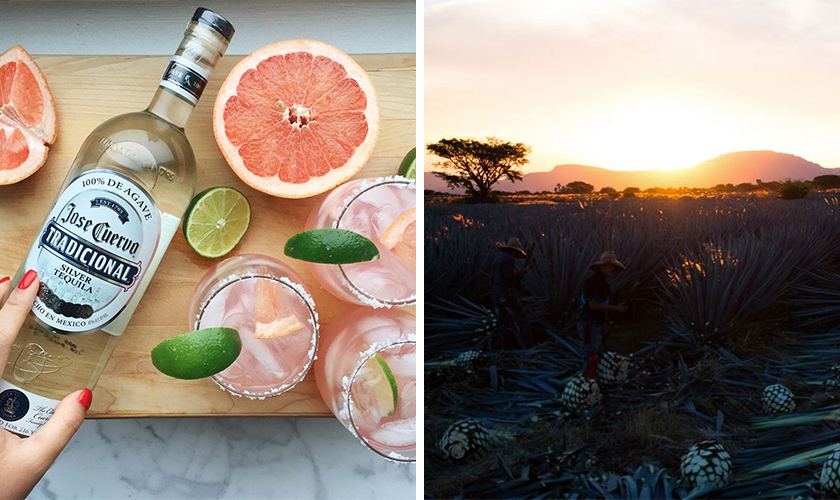 クエルボ マルガリータの通信販売 リキュール