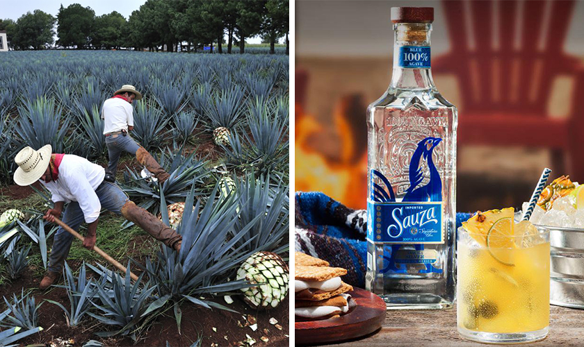 テキーラ サウザ ブルーの通信販売