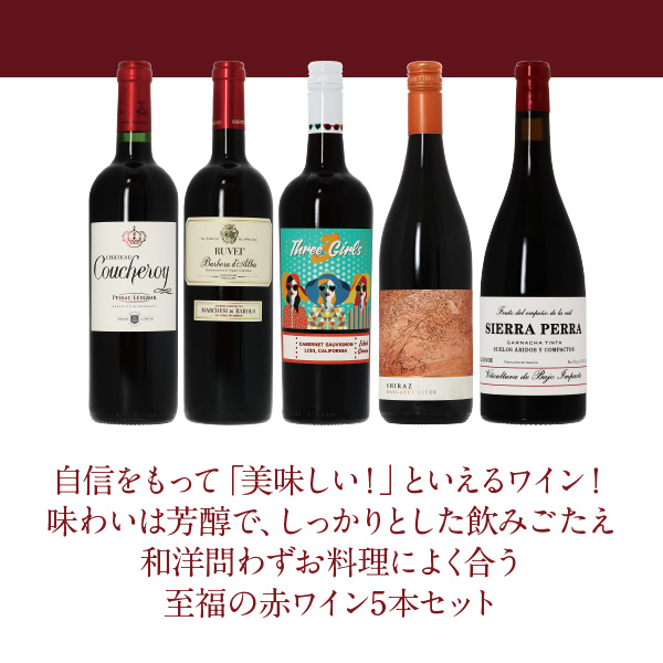 送料無料 【9】専門店が選ぶ 至福の赤ワイン 5本セット 第21弾